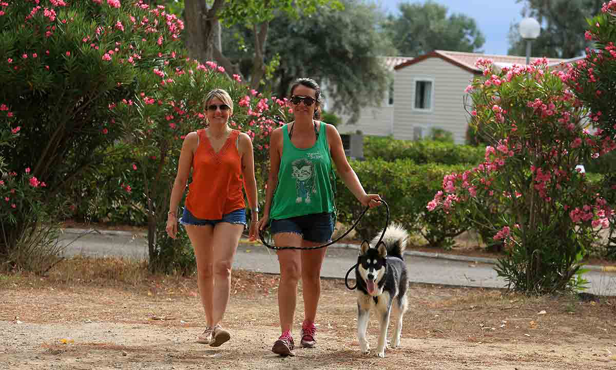 Campéole La Côte des Roses Languedoc-Rosellón - Narbonne-Plage visuel 26/41