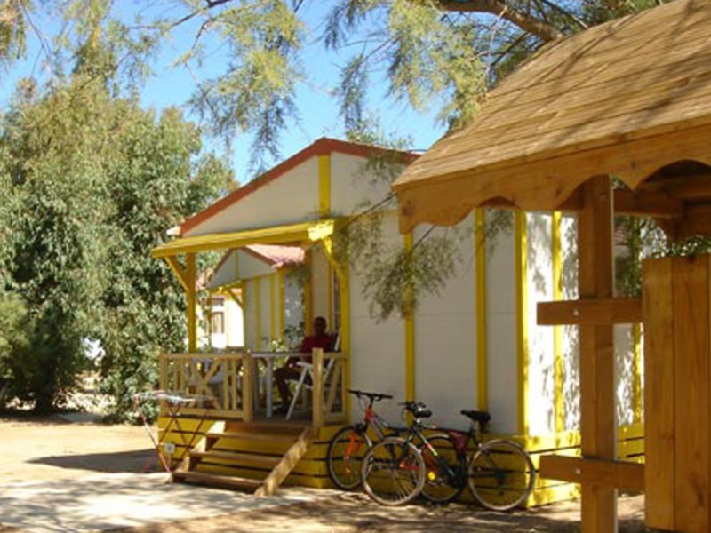 La Dolce Vita Córcega - Calvi visuel 9/11 La Dolce Vita Córcega - Calvi visuel 9/11