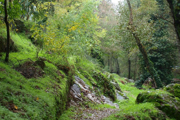 La Eliza Castilla y León - Lanzahíta visuel 6/8