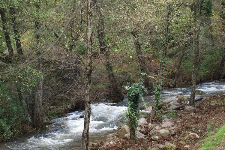 La Eliza Castilla y León - Lanzahíta visuel 5/8