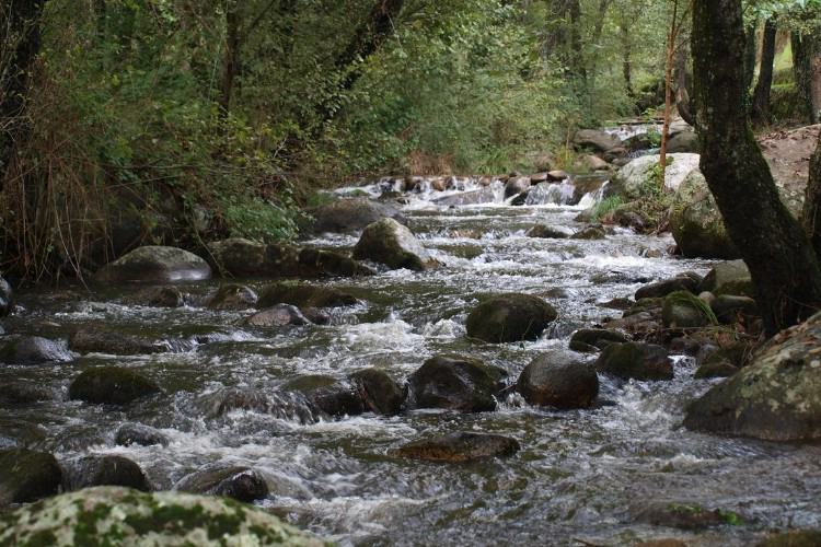 La Eliza Castilla y León - Lanzahíta visuel 4/8