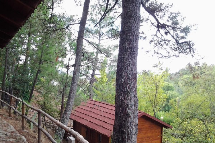 La Eliza Castilla y León - Lanzahíta visuel 7/8