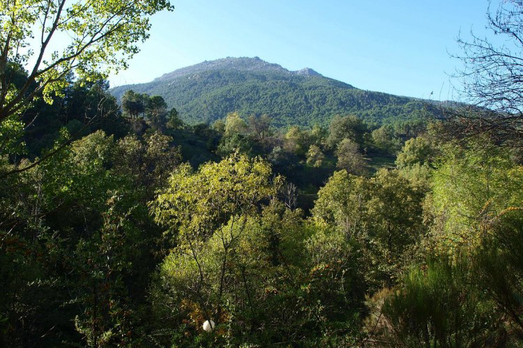 La Eliza Castilla y León - Lanzahíta visuel 2/8