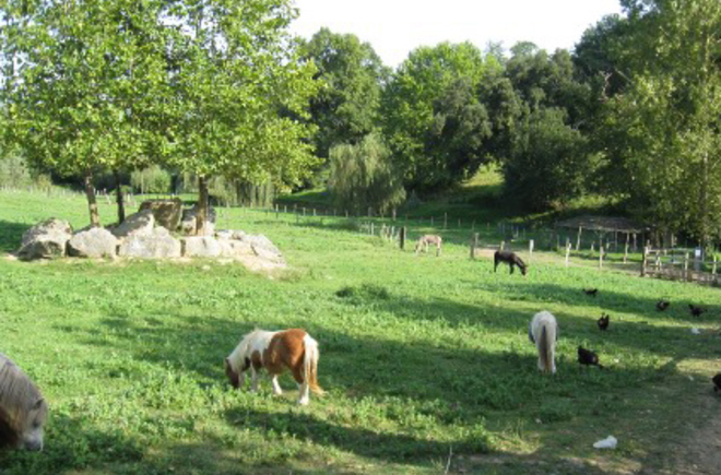 La Ferme des 4 Chênes Aquitania - Urt visuel 5/7 La Ferme des 4 Chênes Aquitania - Urt visuel 5/7