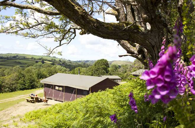La Ferme de la Folivraie Baja Normandía - Louvières visuel 2/4