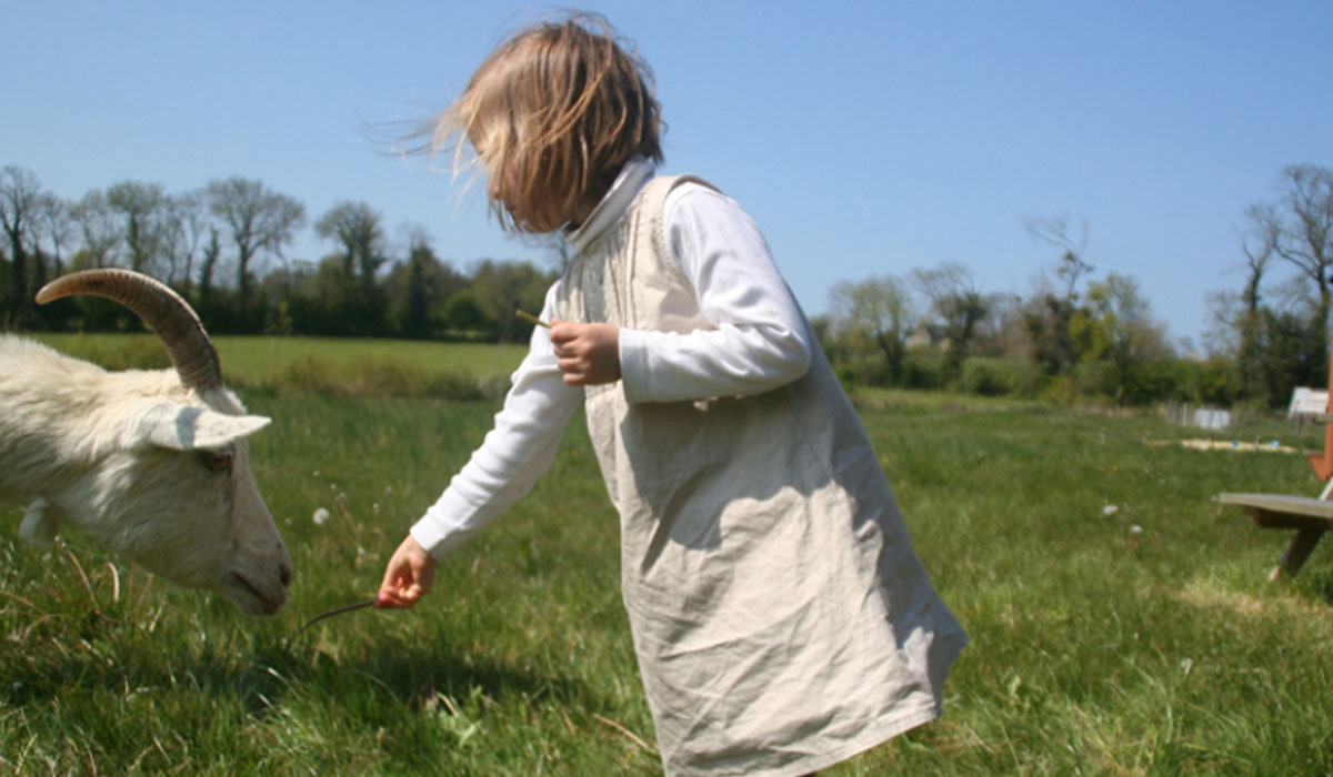 La Ferme de la Folivraie Baja Normandía - Louvières visuel 1/4
