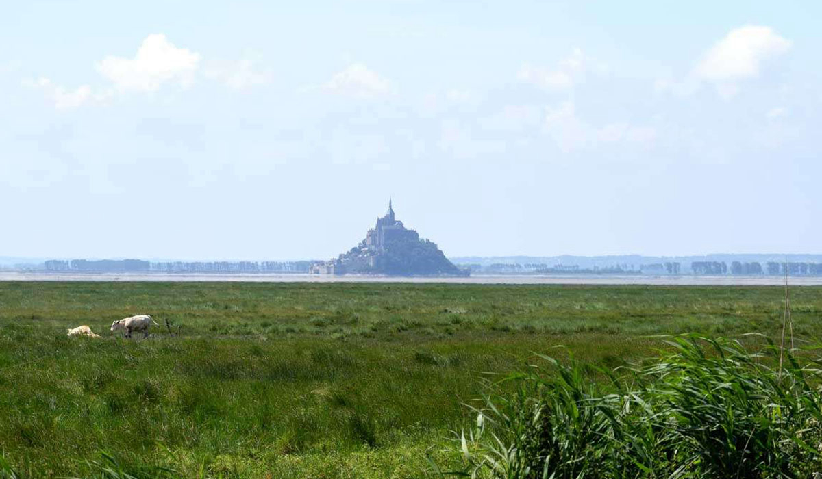 La Ferme de la Moriciere Baja Normandía - Sartilly visuel 1/5