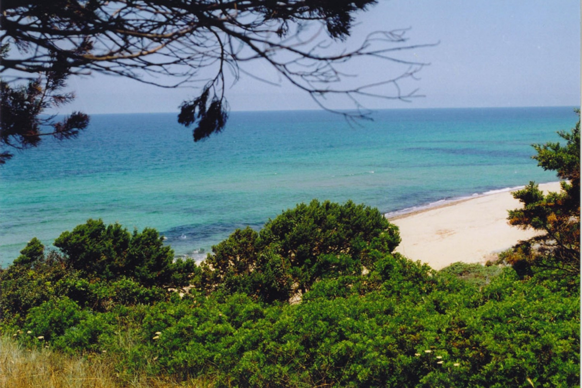 La Foce Cerdeña - Valledoria visuel 4/6