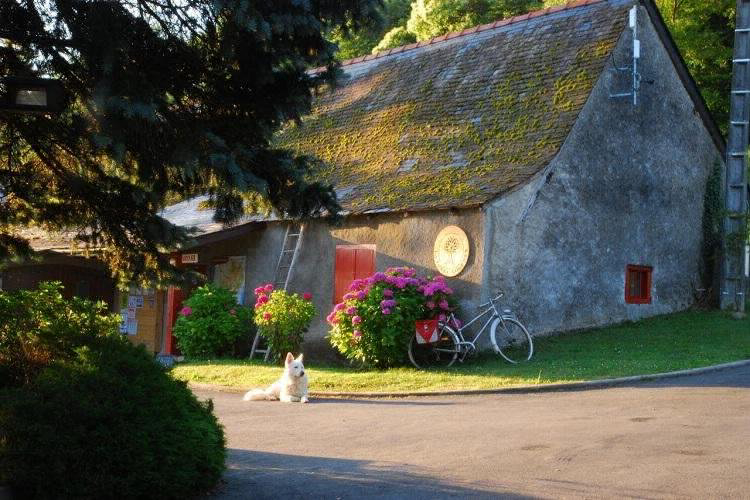 La Forêt Lourdes Mediodía-Pirineos - Lourdes visuel 8/9