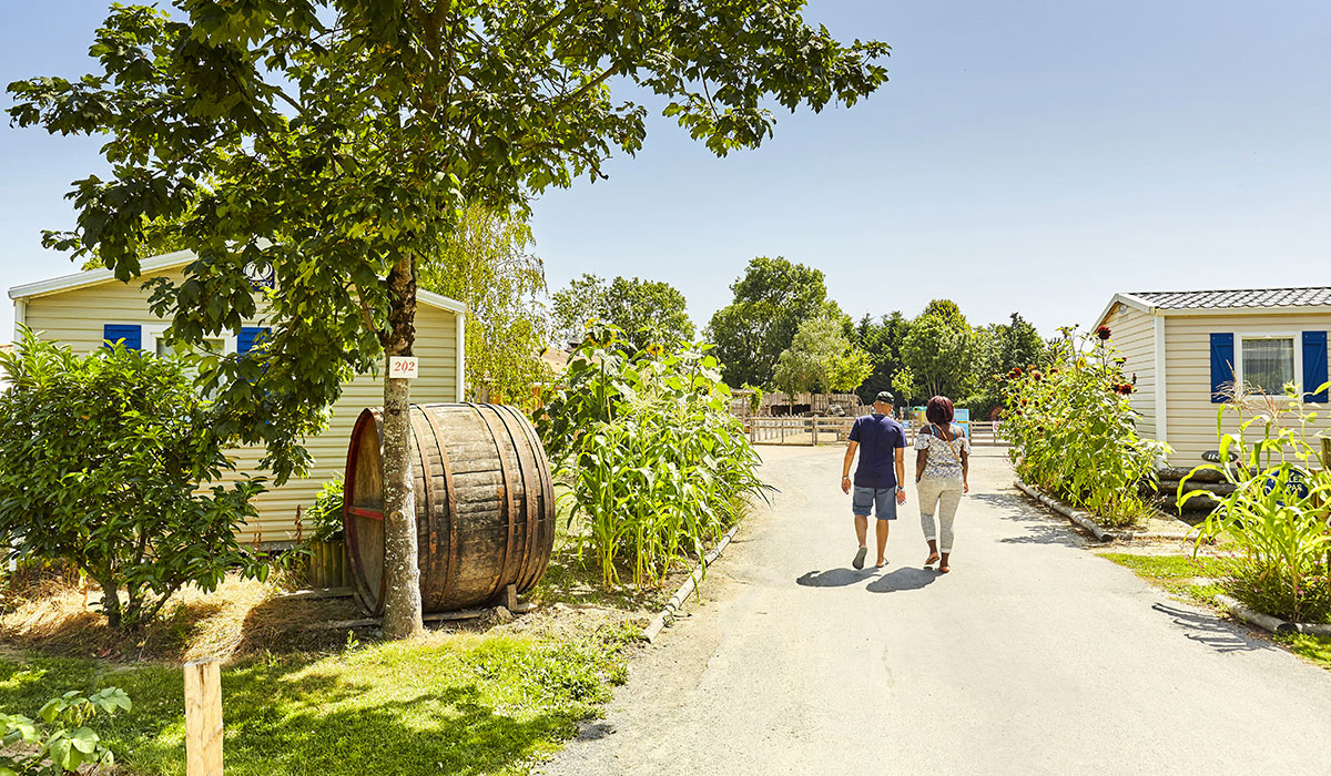 La Grand'Métairie Países del Loira - Saint-Hilaire-la-Forêt visuel 36/46