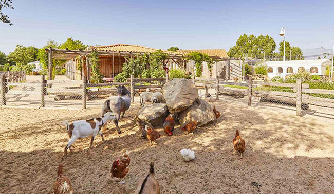 La Grand'Métairie Países del Loira - Saint-Hilaire-la-Forêt visuel 44/46