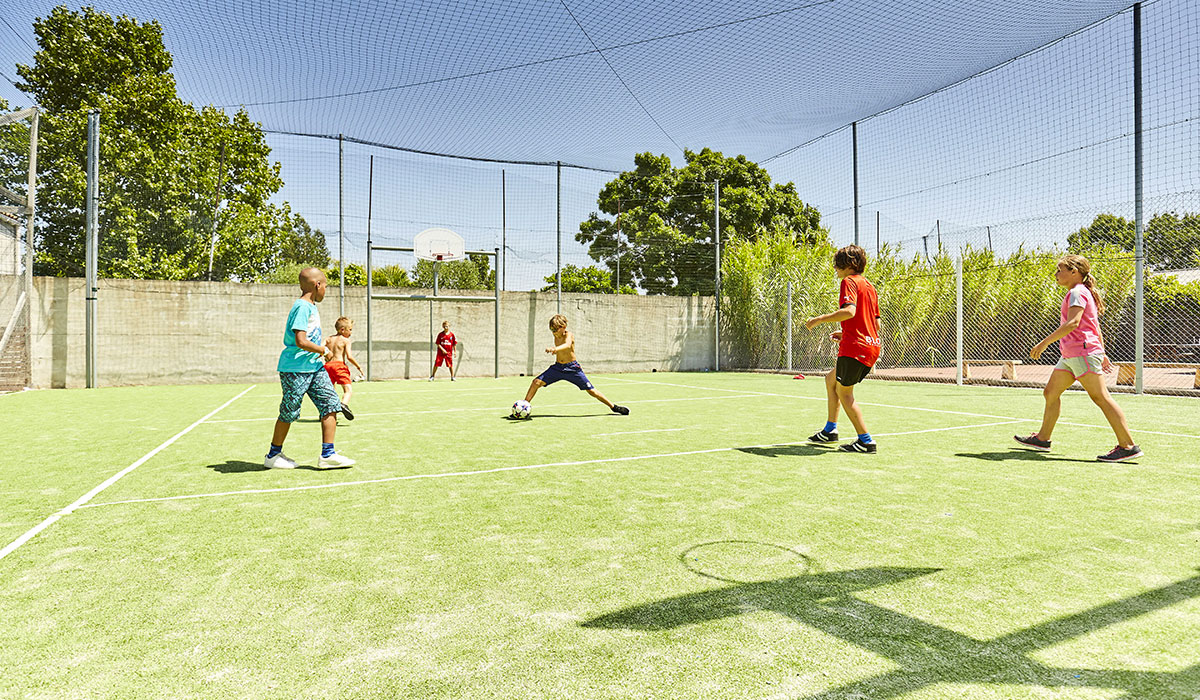 La Grand'Métairie Países del Loira - Saint-Hilaire-la-Forêt visuel 33/46
