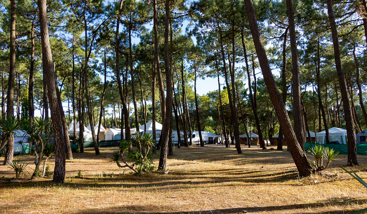 La Grande Côte Países del Loira - La Barre-de-Monts visuel 5/24 La Grande Côte Países del Loira - La Barre-de-Monts visuel 5/24