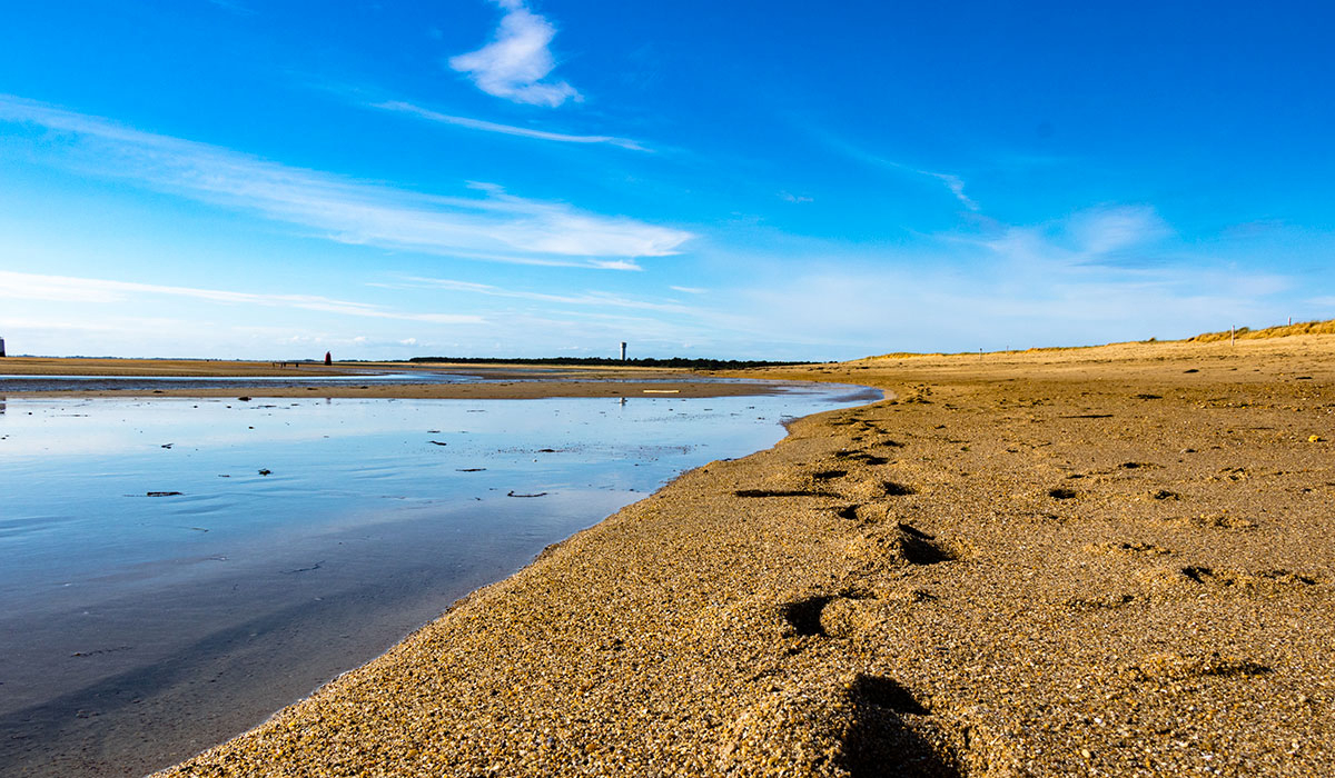 La Grande Côte Países del Loira - La Barre-de-Monts visuel 4/24 La Grande Côte Países del Loira - La Barre-de-Monts visuel 4/24