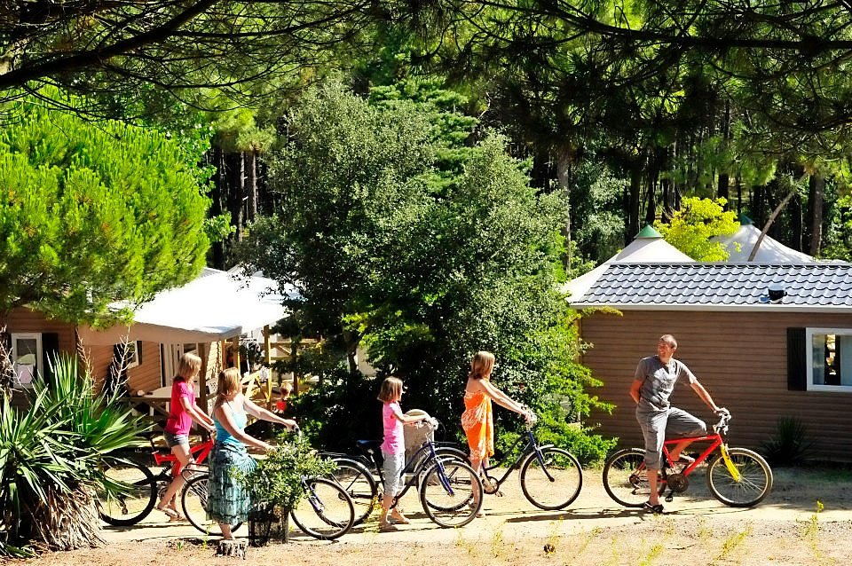 La Grande Côte Países del Loira - La Barre-de-Monts visuel 19/24 La Grande Côte Países del Loira - La Barre-de-Monts visuel 19/24