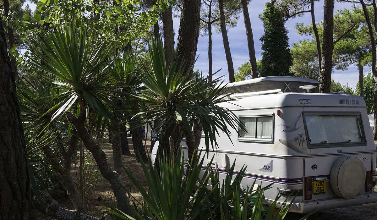 La Grande Côte Países del Loira - La Barre-de-Monts visuel 11/24 La Grande Côte Países del Loira - La Barre-de-Monts visuel 11/24