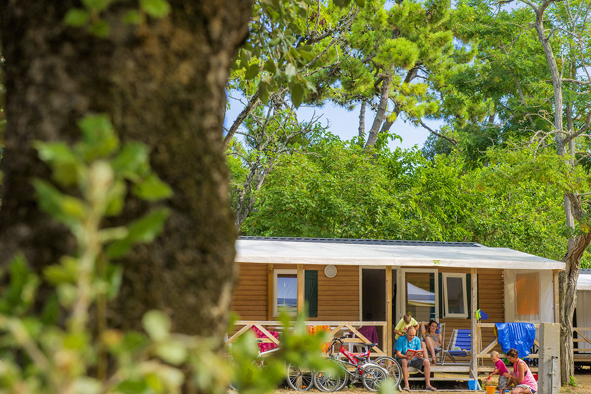 La Grande Côte Países del Loira - La Barre-de-Monts visuel 23/24 La Grande Côte Países del Loira - La Barre-de-Monts visuel 23/24