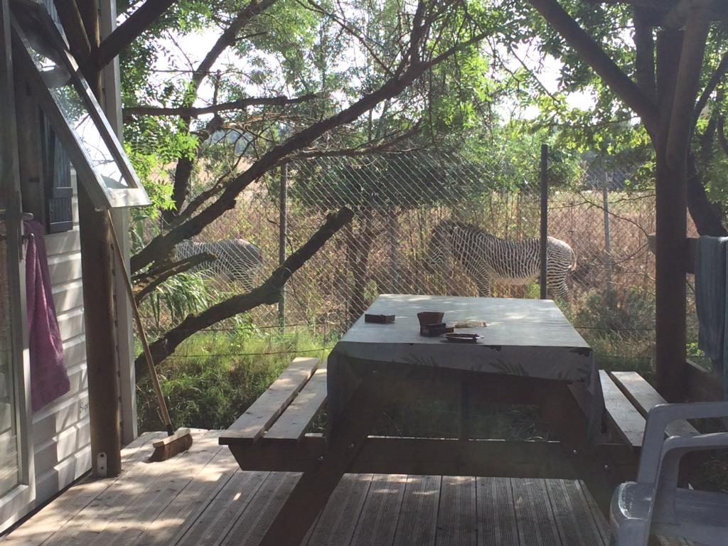 La Grange Neuve Languedoc-Rosellón - Sigean visuel 6/8 La Grange Neuve Languedoc-Rosellón - Sigean visuel 6/8