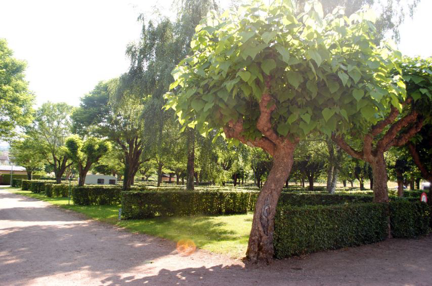 La Graviere Auvernia - Saint-Yorre visuel 1/1 La Graviere Auvernia - Saint-Yorre visuel 1/1