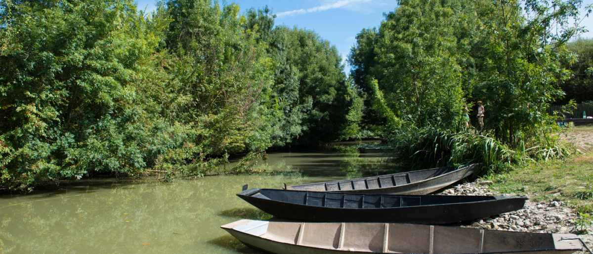 La Grière Países del Loira - La Tranche-sur-Mer visuel 2/6 La Grière Países del Loira - La Tranche-sur-Mer visuel 2/6
