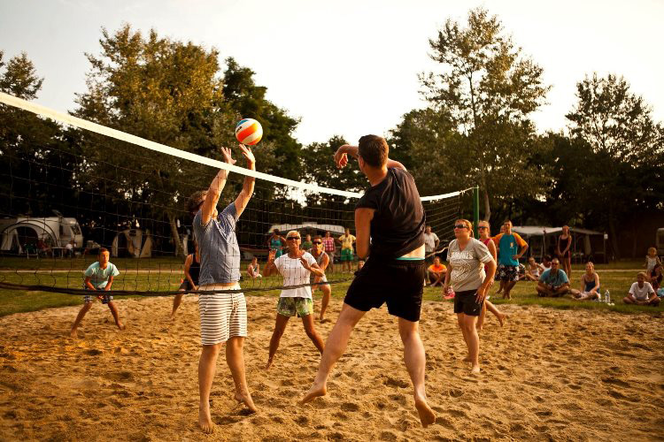La Guyonnière Países del Loira - Saint-Julien-des-Landes visuel 24/34 La Guyonnière Países del Loira - Saint-Julien-des-Landes visuel 24/34