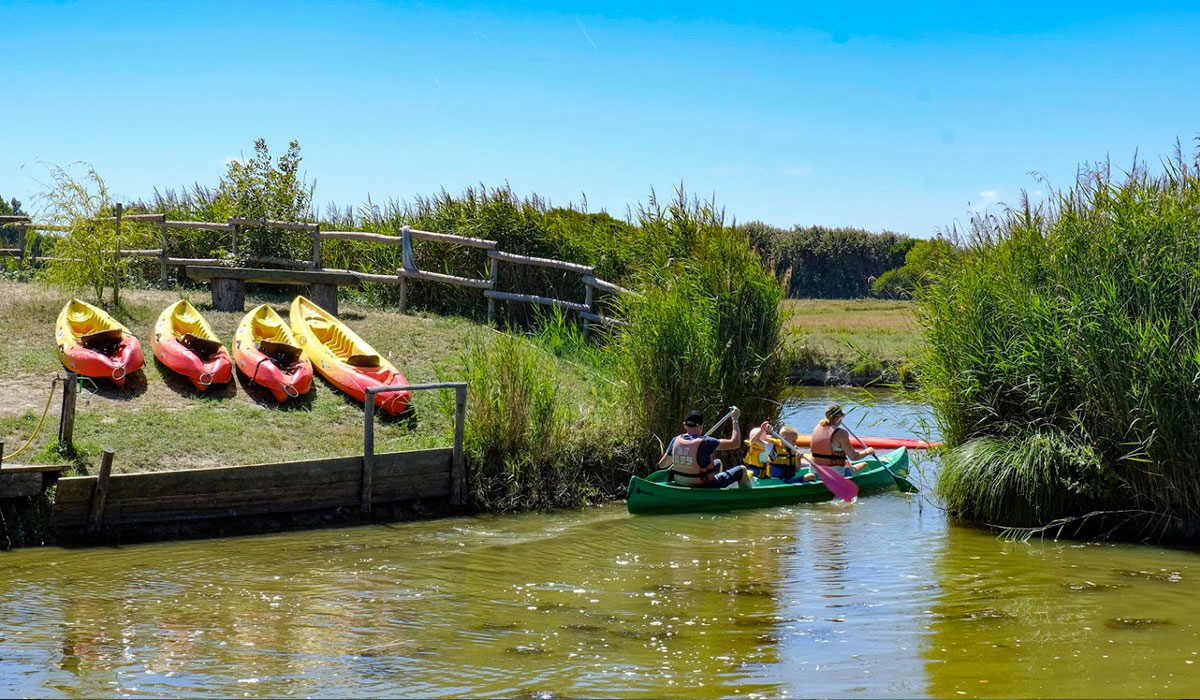 La Guyonnière Países del Loira - Saint-Julien-des-Landes visuel 11/34 La Guyonnière Países del Loira - Saint-Julien-des-Landes visuel 11/34