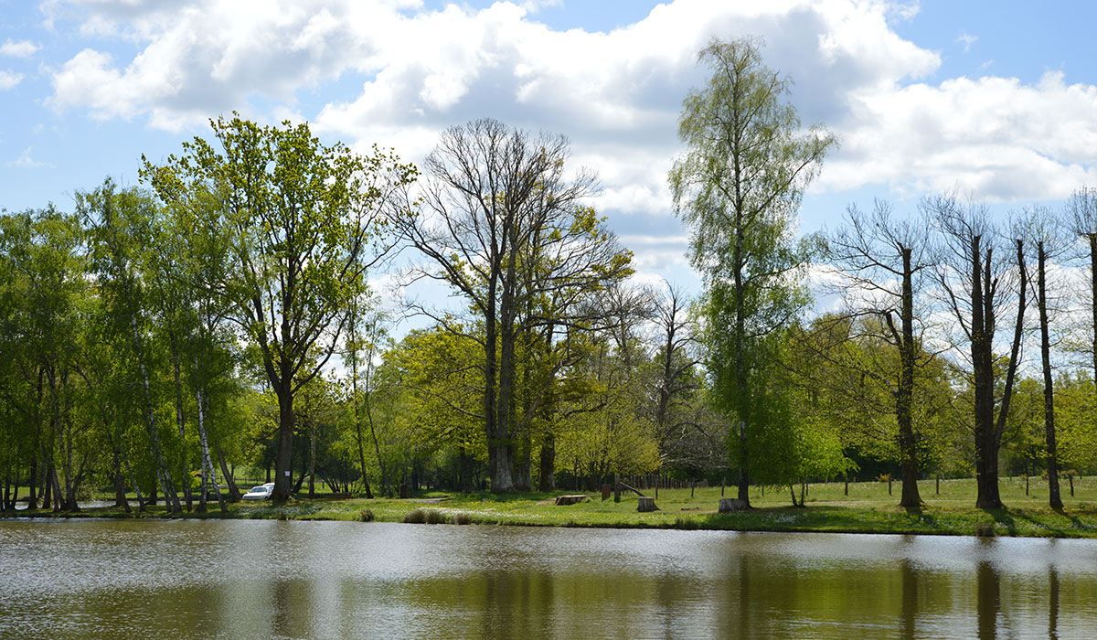La Lande Limosín - Nexon visuel 6/10
