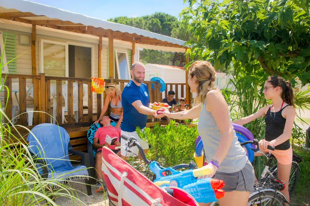 La Marine Languedoc-Rosellón - Le Grau-du-Roi visuel 11/12 La Marine Languedoc-Rosellón - Le Grau-du-Roi visuel 11/12