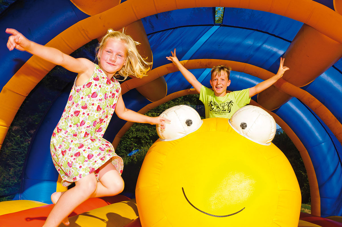 La Nublière Ródano-Alpes - Doussard visuel 6/13 La Nublière Ródano-Alpes - Doussard visuel 6/13