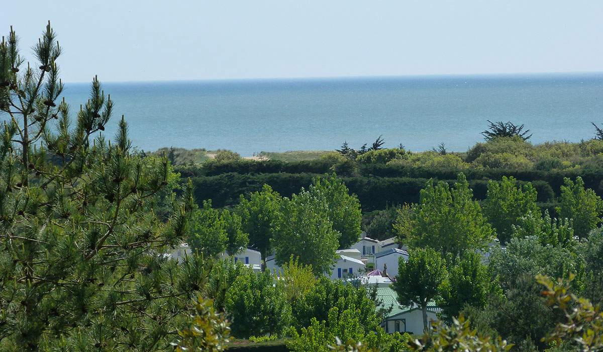 La Parée du Jonc Países del Loira - Saint-Jean-de-Monts visuel 6/17 La Parée du Jonc Países del Loira - Saint-Jean-de-Monts visuel 6/17