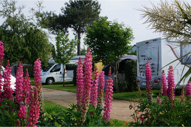 La Plage Baja Normandía - Fermanville visuel 3/7 La Plage Baja Normandía - Fermanville visuel 3/7