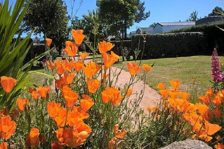 La Plage Baja Normandía - Fermanville visuel 1/7 La Plage Baja Normandía - Fermanville visuel 1/7