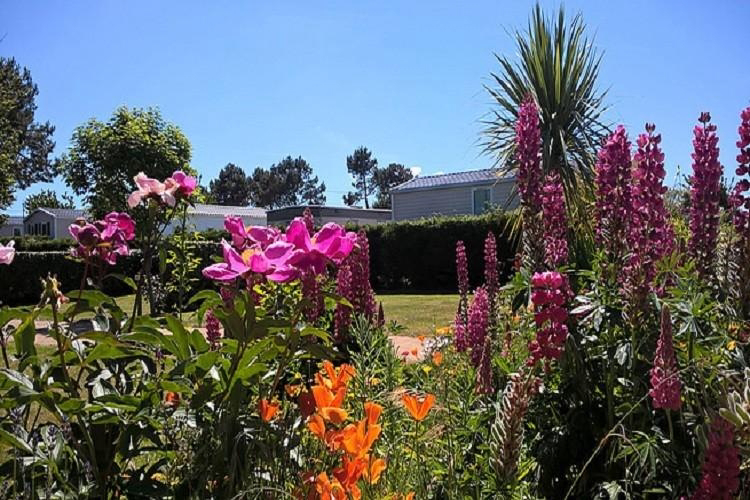 La Plage Baja Normandía - Fermanville visuel 7/7 La Plage Baja Normandía - Fermanville visuel 7/7