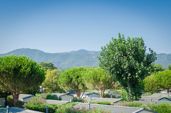 La Plage Languedoc-Rosellón - Argelès-sur-Mer visuel 2/6 La Plage Languedoc-Rosellón - Argelès-sur-Mer visuel 2/6
