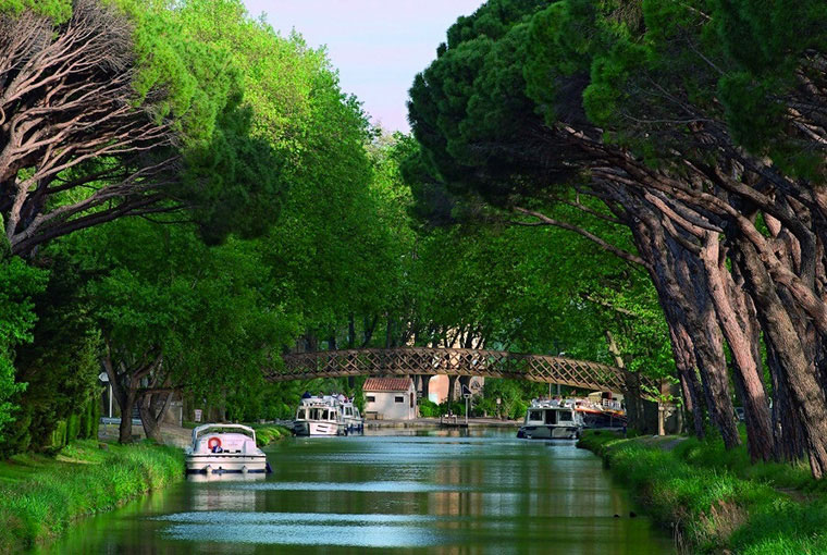 La Plage du Midi Languedoc-Rosellón - Portiragnes visuel 3/7