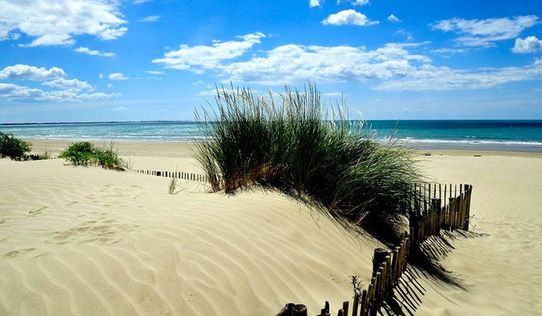 La Plage du Midi Languedoc-Rosellón - Portiragnes visuel 2/7