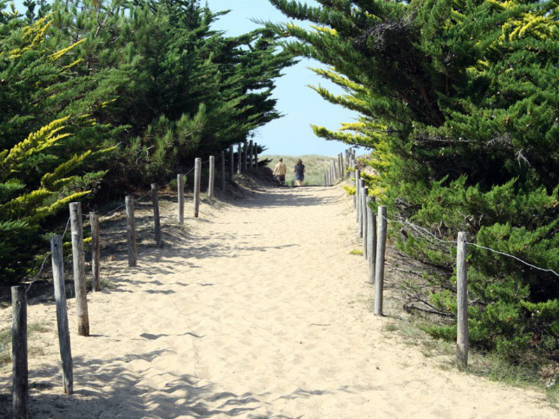 La Prairie Países del Loira - Saint-Hilaire-de-Riez visuel 8/15 La Prairie Países del Loira - Saint-Hilaire-de-Riez visuel 8/15