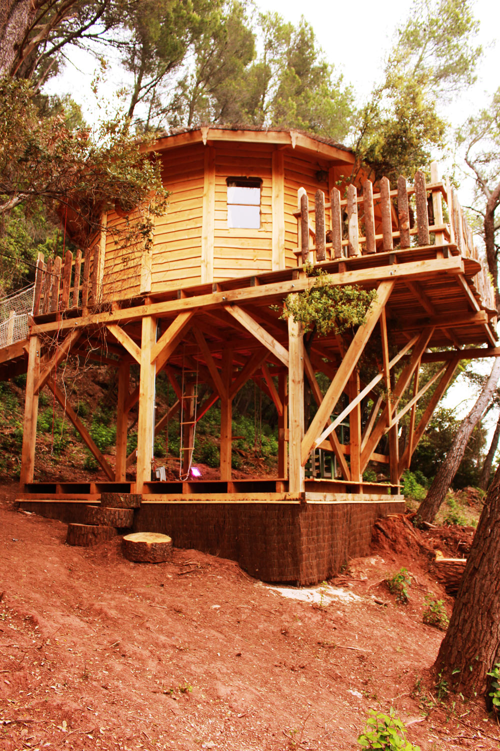 La Tuilière Provenza-Alpes-Costa Azul - Carnoules visuel 4/5