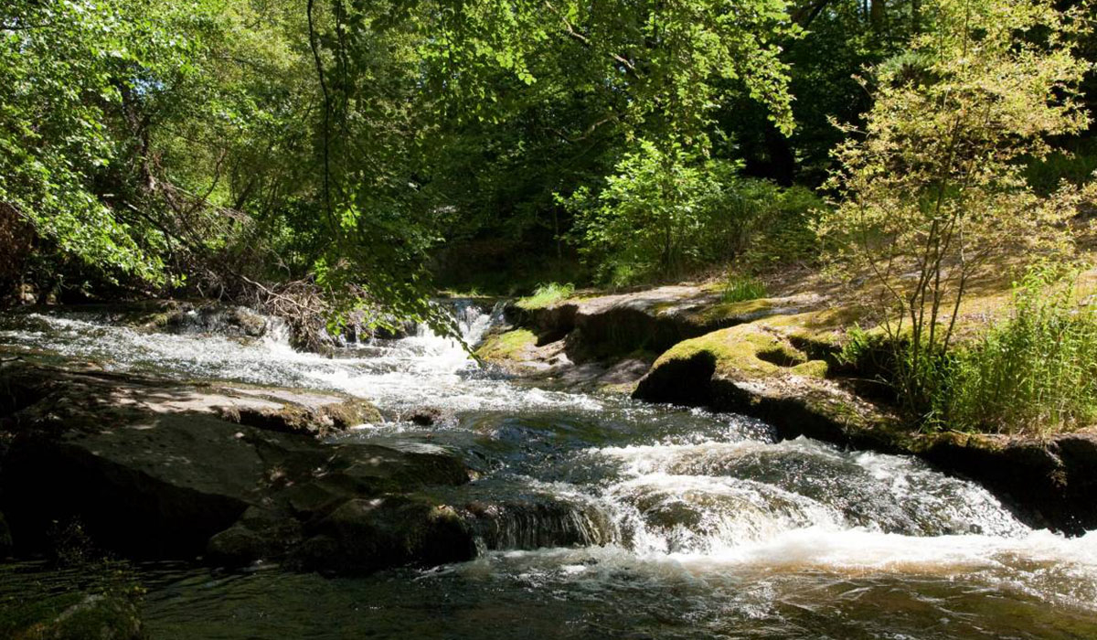 La ferme des Champeaux Limosín - Saint-Amand-le-Petit visuel 1/5 La ferme des Champeaux Limosín - Saint-Amand-le-Petit visuel 1/5