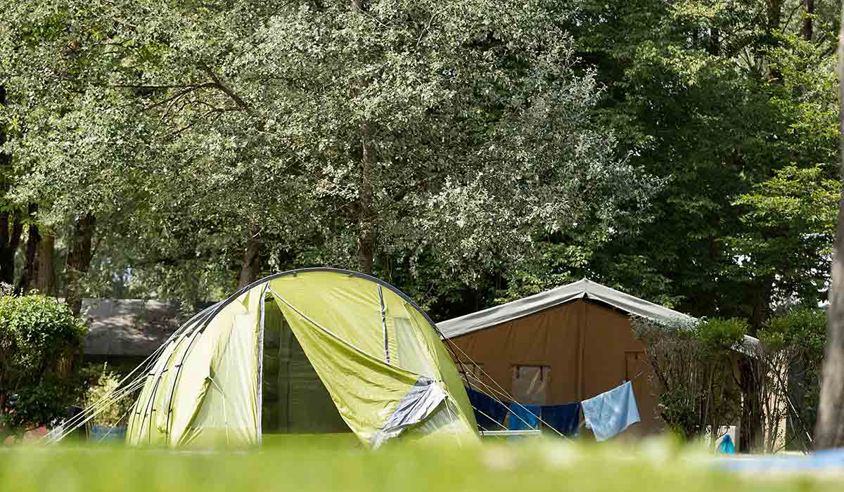 Lac d'Orient Champaña-Ardenas - Mesnil-Saint-Père visuel 11/15