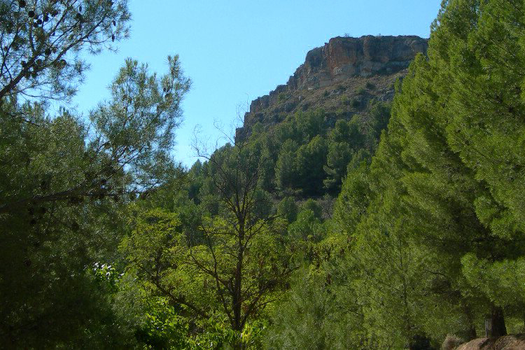 Lago Resort Aragón - Nuévalos visuel 5/7