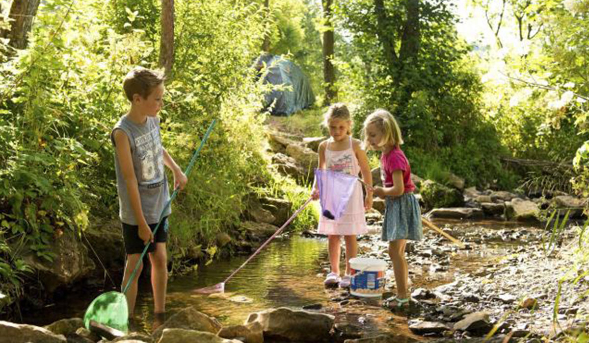 Landal Wirfttal Renania-Palatinado - stadtkyll visuel 1/4 Landal Wirfttal Renania-Palatinado - stadtkyll visuel 1/4