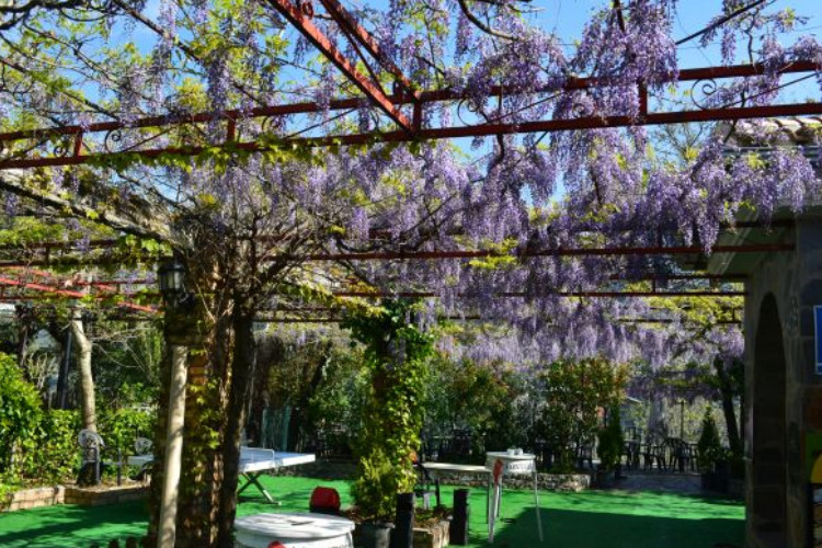 Las Lomas Andalucía - Güejar Sierra visuel 6/10