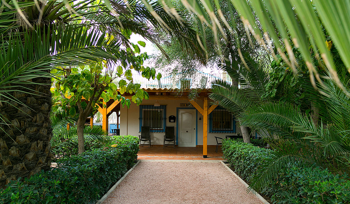 Las Palmeras Comunidad Valenciana - Crevillente visuel 2/2 Las Palmeras Comunidad Valenciana - Crevillente visuel 2/2