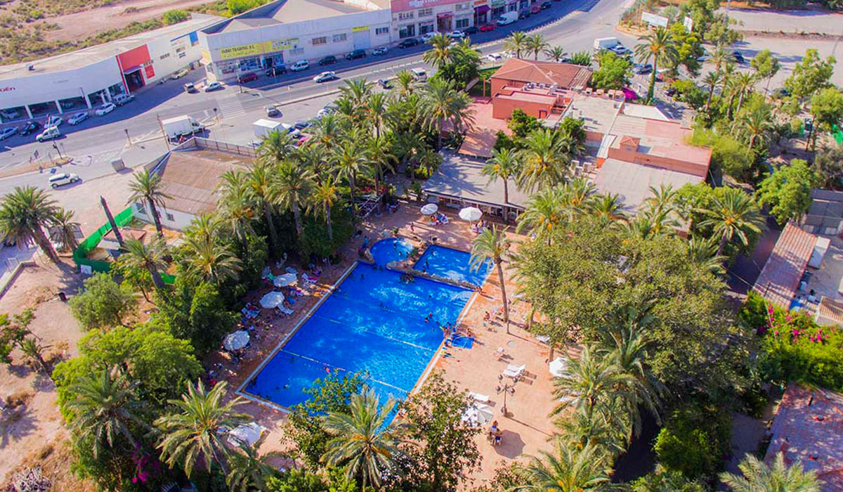 Las Palmeras Comunidad Valenciana - Crevillente visuel 1/2 Las Palmeras Comunidad Valenciana - Crevillente visuel 1/2