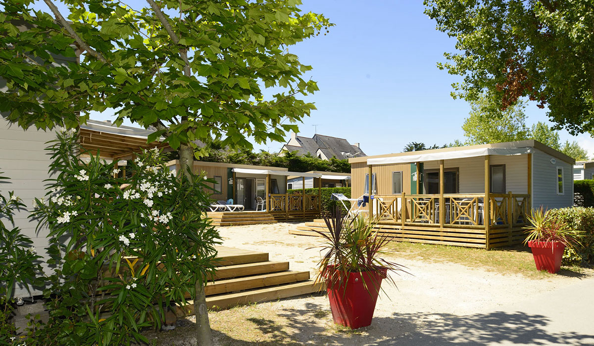 Le Bois d'Amour Bretaña - Quiberon visuel 5/11 Le Bois d'Amour Bretaña - Quiberon visuel 5/11