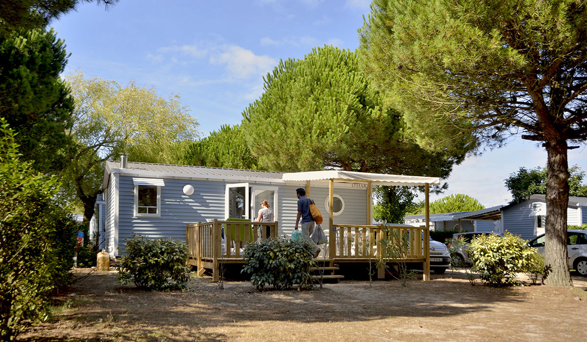 Le Bois d'Amour Bretaña - Quiberon visuel 4/11 Le Bois d'Amour Bretaña - Quiberon visuel 4/11