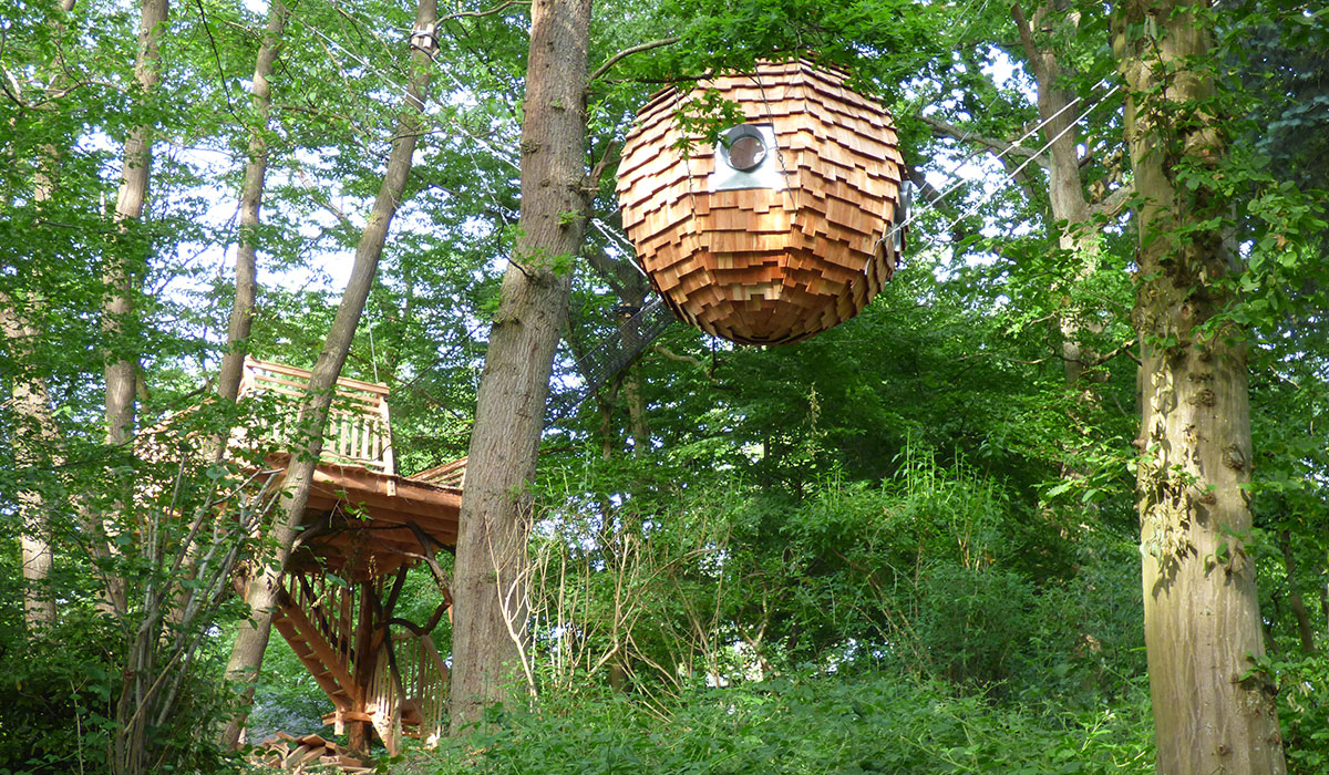 Domaine le Bois de Rosoy Isla de Francia - Rosoy-en-Multien visuel 5/11 Domaine le Bois de Rosoy Isla de Francia - Rosoy-en-Multien visuel 5/11