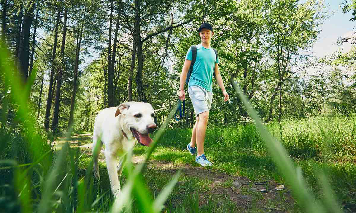 Le Brabois Lorena - Villers-lès-Nancy visuel 9/14