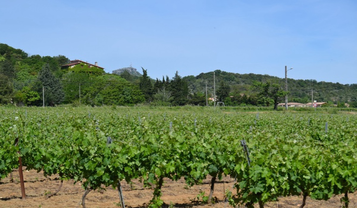 Le Casque Roi Ródano-Alpes - Salavas visuel 7/9